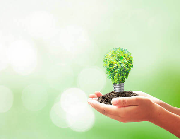 Green Group is launching the first sustainable syndicated loan in the Romanian market